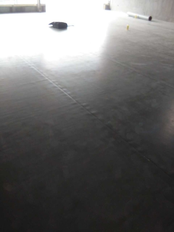 陳露滑冰俱樂(lè)部舞蹈地膠鋪設(shè)案例