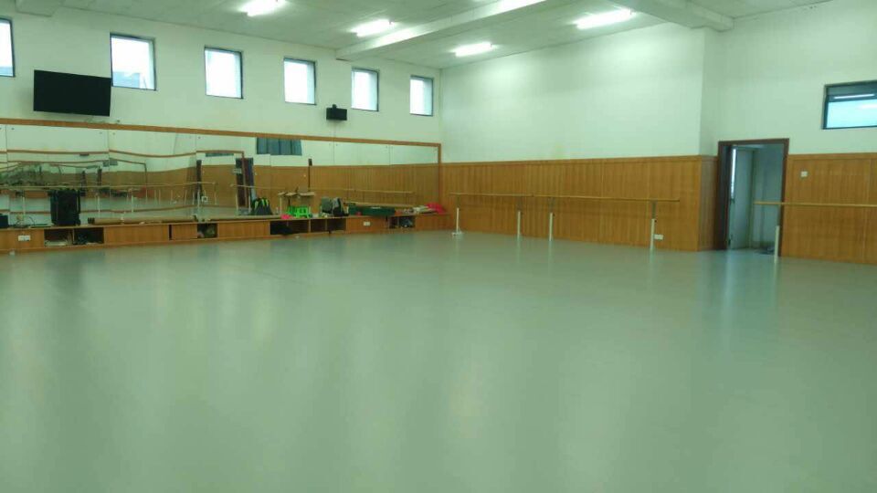 廣東東莞文理學(xué)院舞蹈室地膠鋪設(shè)案例
