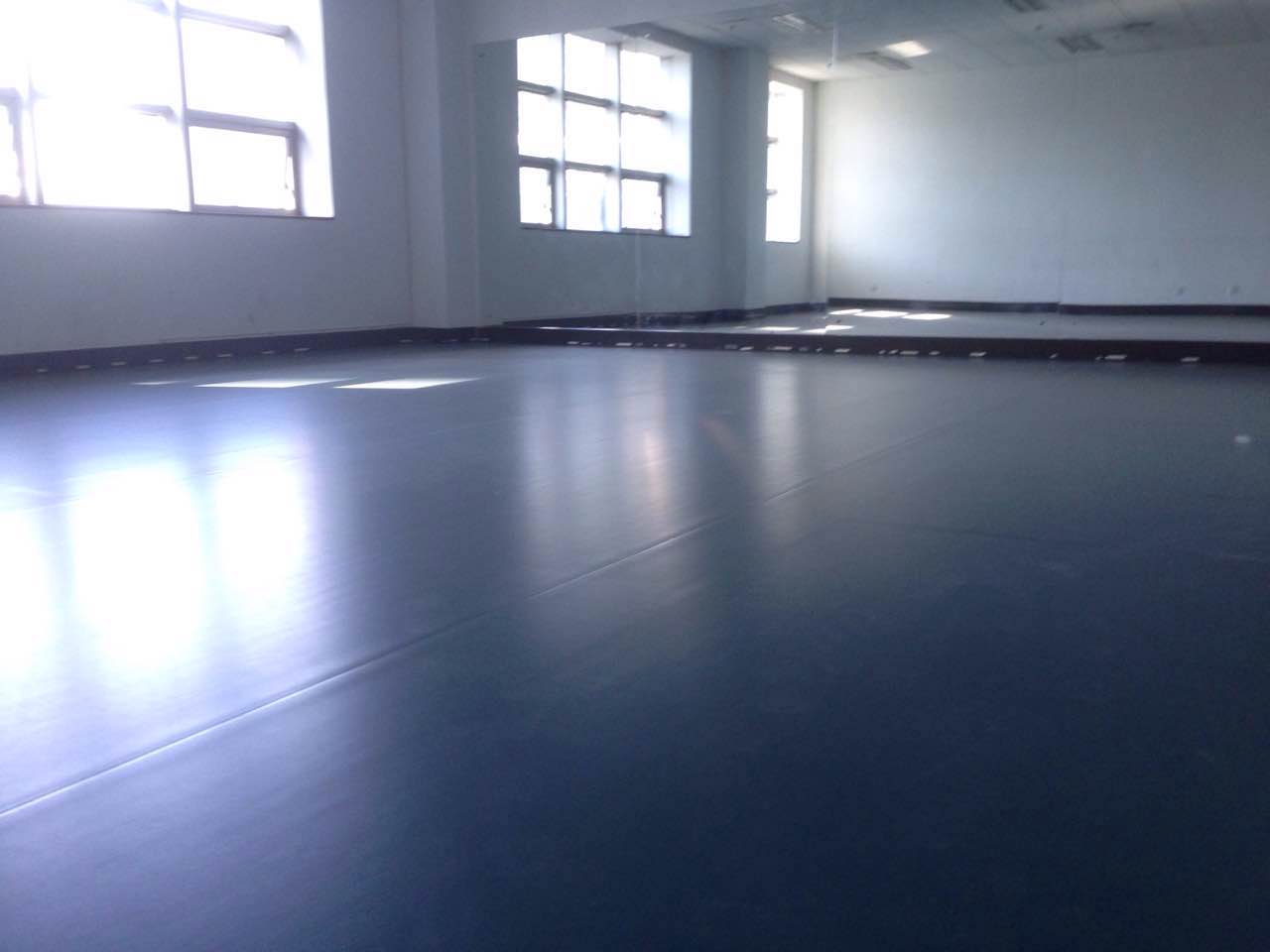 舞蹈室地膠--秦皇島海之藍(lán)歌舞團(tuán)公司成功案例