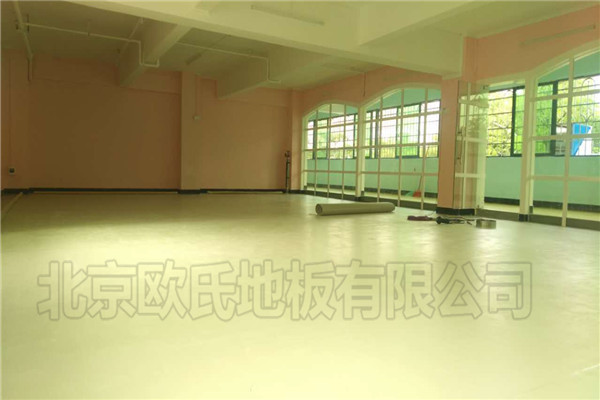 舞蹈室地膠--廣東清遠(yuǎn)佛岡縣蟲(chóng)兒飛藝術(shù)培訓(xùn)中心