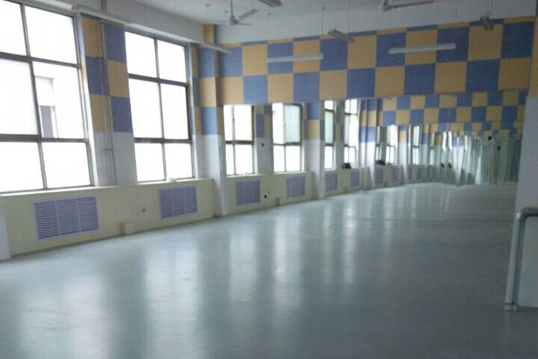 舞蹈地膠案例 舞蹈地膠案例