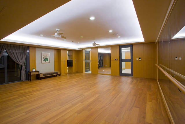 舞蹈地板，舞臺(tái)地板，舞蹈地膠 