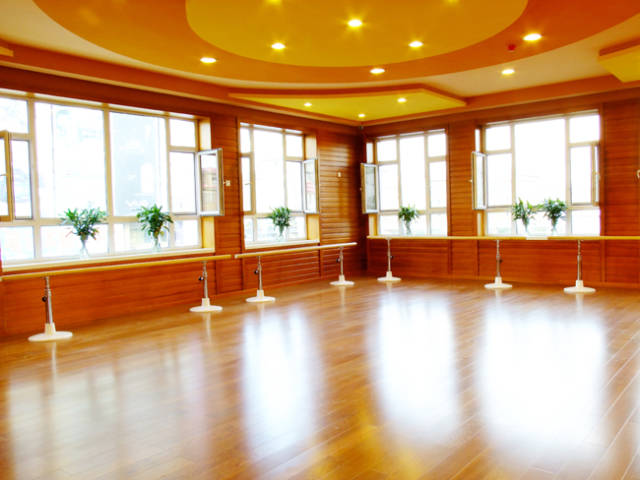 舞蹈地板 舞蹈地板