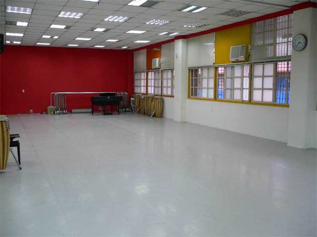 舞蹈地板，舞臺(tái)地板，舞蹈地膠 