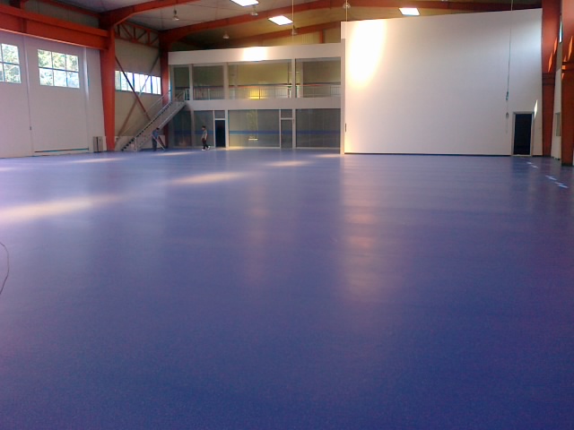 舞蹈地板，舞臺地板，舞蹈地膠 