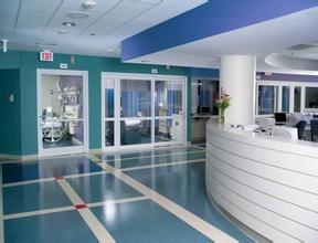 舞蹈地板，舞臺地板，舞蹈地膠 