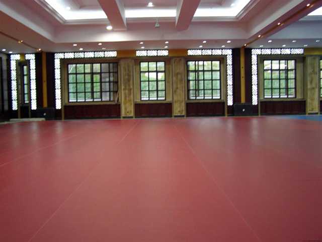 舞蹈地板，舞臺地板，舞蹈地膠 