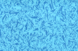 舞蹈地板，舞臺地板，舞蹈地膠 