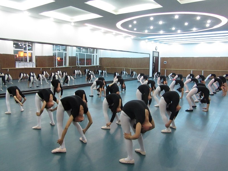 舞蹈地板，舞臺地板，舞蹈地膠 