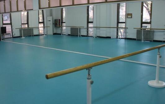 舞蹈地膠 舞蹈地膠