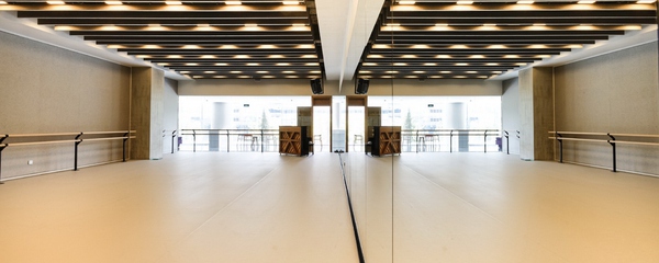 舞蹈地膠 舞蹈地膠