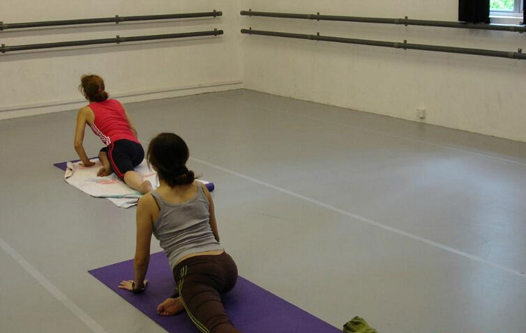 舞蹈地板 舞蹈地板