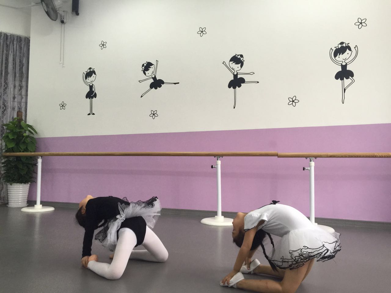 舞蹈地膠 舞蹈地膠