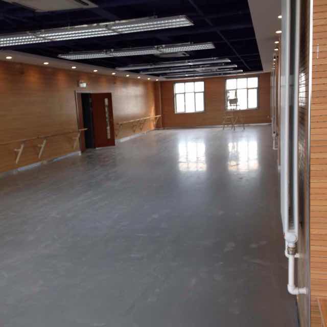 舞蹈地板 舞蹈地板