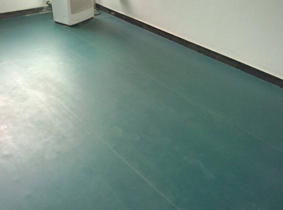 舞蹈地膠 舞蹈地膠