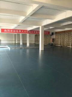 舞蹈地膠,舞蹈地板,舞蹈室地膠 舞蹈地膠,舞蹈地板,舞蹈室地膠