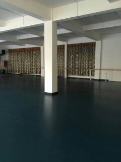 舞蹈地膠,舞蹈地板,舞蹈室地膠 舞蹈地膠,舞蹈地板,舞蹈室地膠