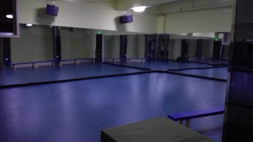 舞蹈教室地膠,舞蹈地膠 舞蹈教室地膠,舞蹈地膠