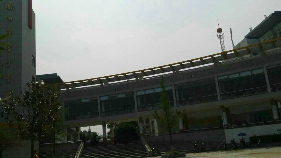 舞蹈地板,舞蹈地膠