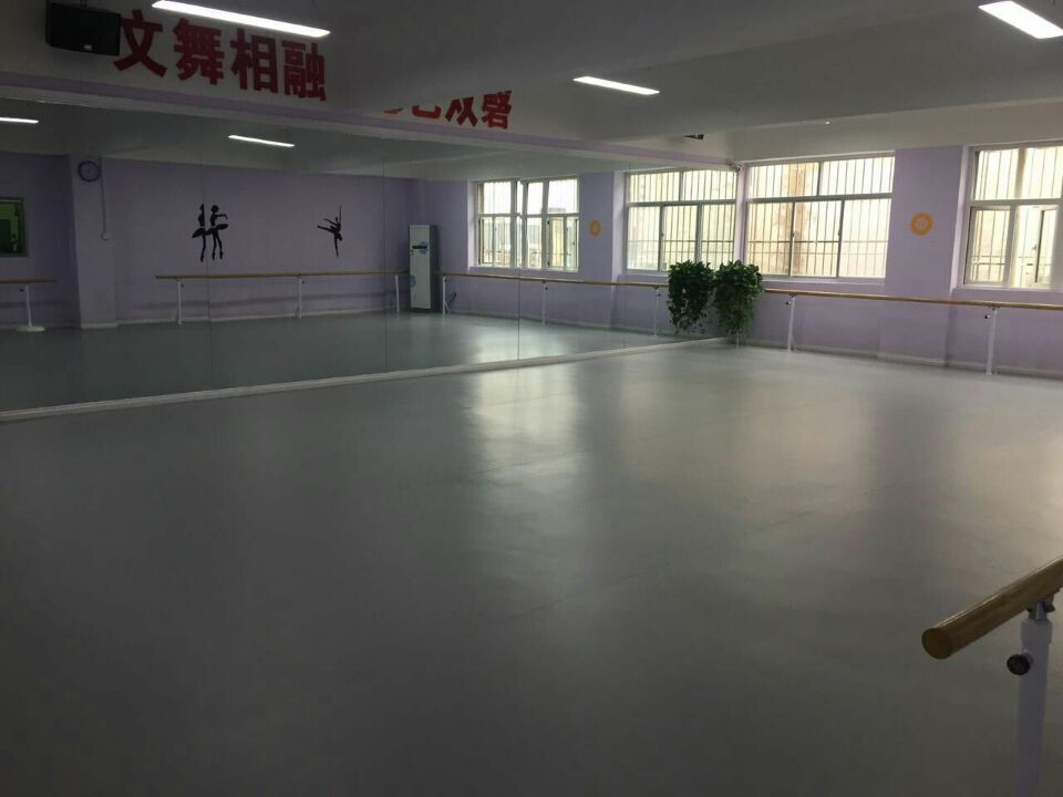 舞蹈地膠,舞蹈室地膠 舞蹈地膠,舞蹈室地膠