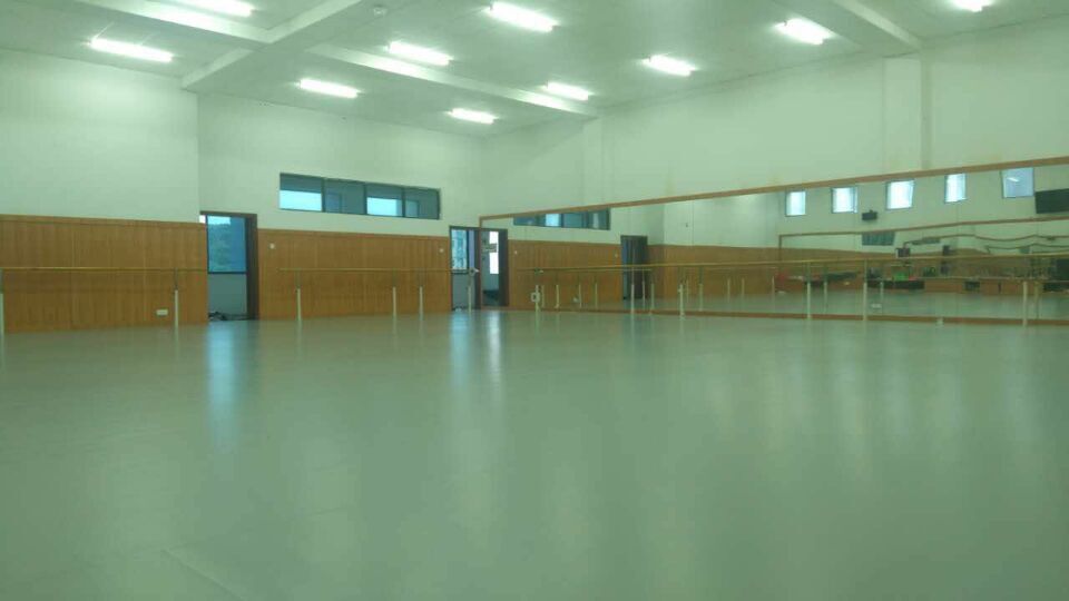 舞蹈地膠,舞蹈地板 舞蹈地膠,舞蹈地板