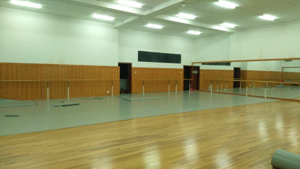 舞蹈地膠,舞蹈地板 舞蹈地膠,舞蹈地板