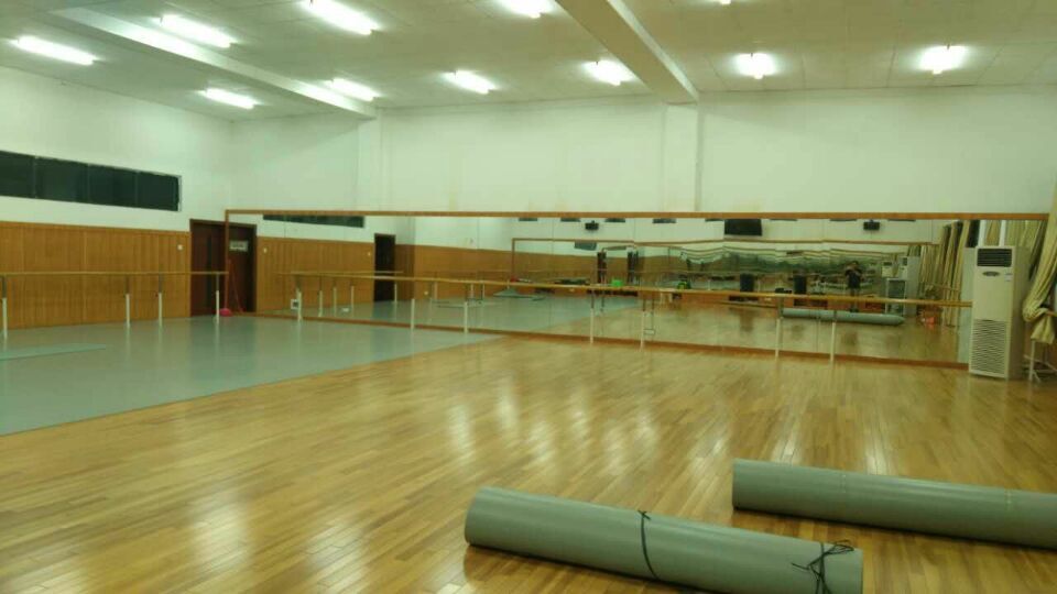 舞蹈地膠,舞蹈地板 舞蹈地膠,舞蹈地板