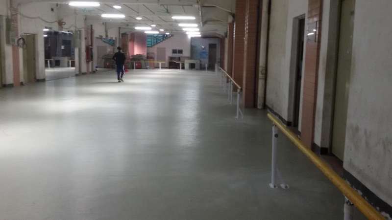 舞蹈地膠 舞蹈地膠