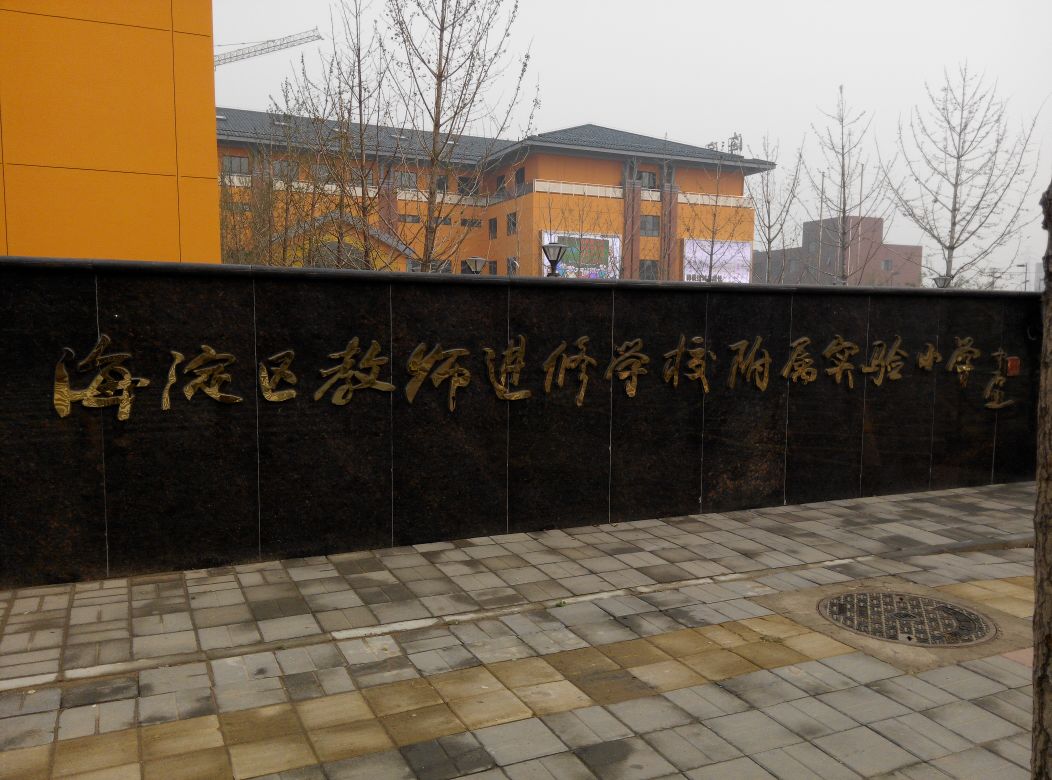 舞蹈地膠 舞蹈地膠
