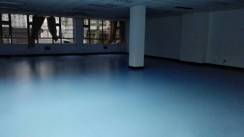 舞蹈地膠 舞蹈地膠