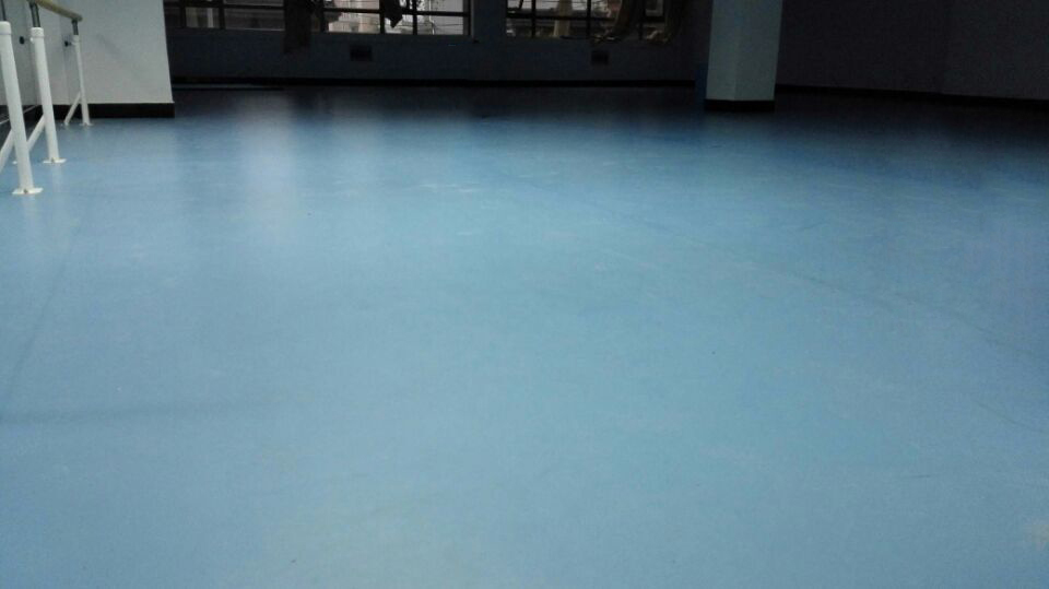 舞蹈地膠 舞蹈地膠