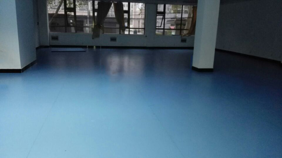 舞蹈地膠 舞蹈地膠