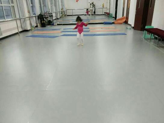 舞蹈地膠,舞蹈室地膠 舞蹈地膠,舞蹈室地膠