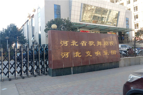 舞蹈地膠 舞蹈地膠