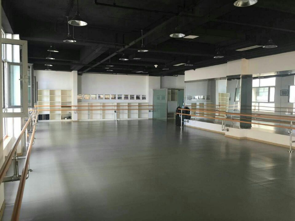 舞蹈地膠 舞蹈地膠