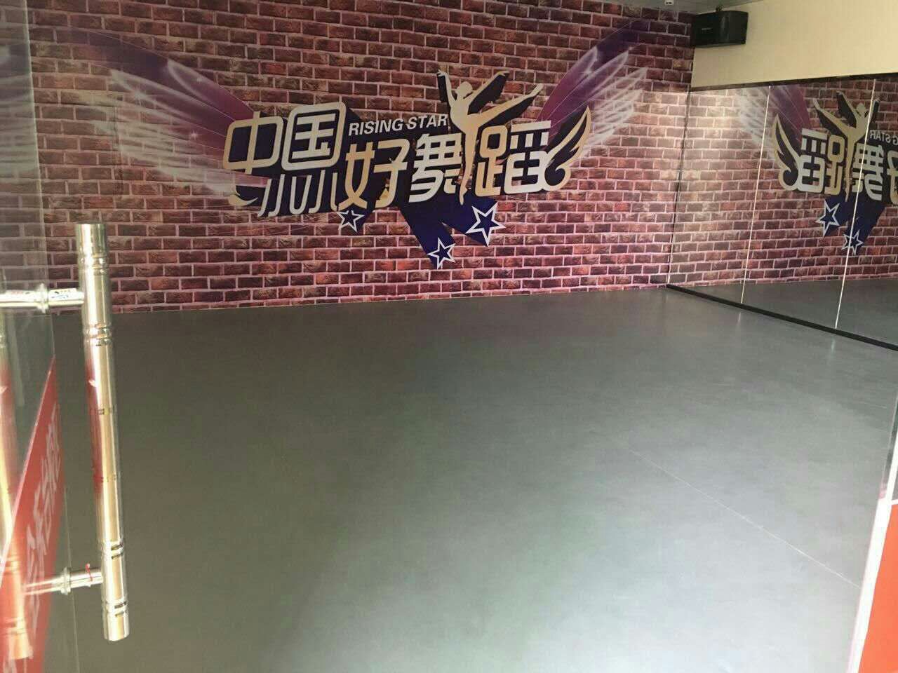 舞蹈地膠 舞蹈地膠