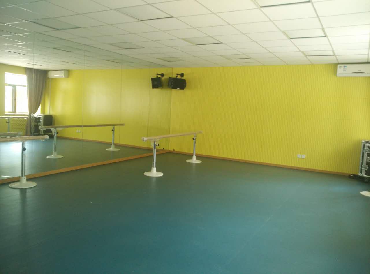 舞蹈地膠 舞蹈地膠