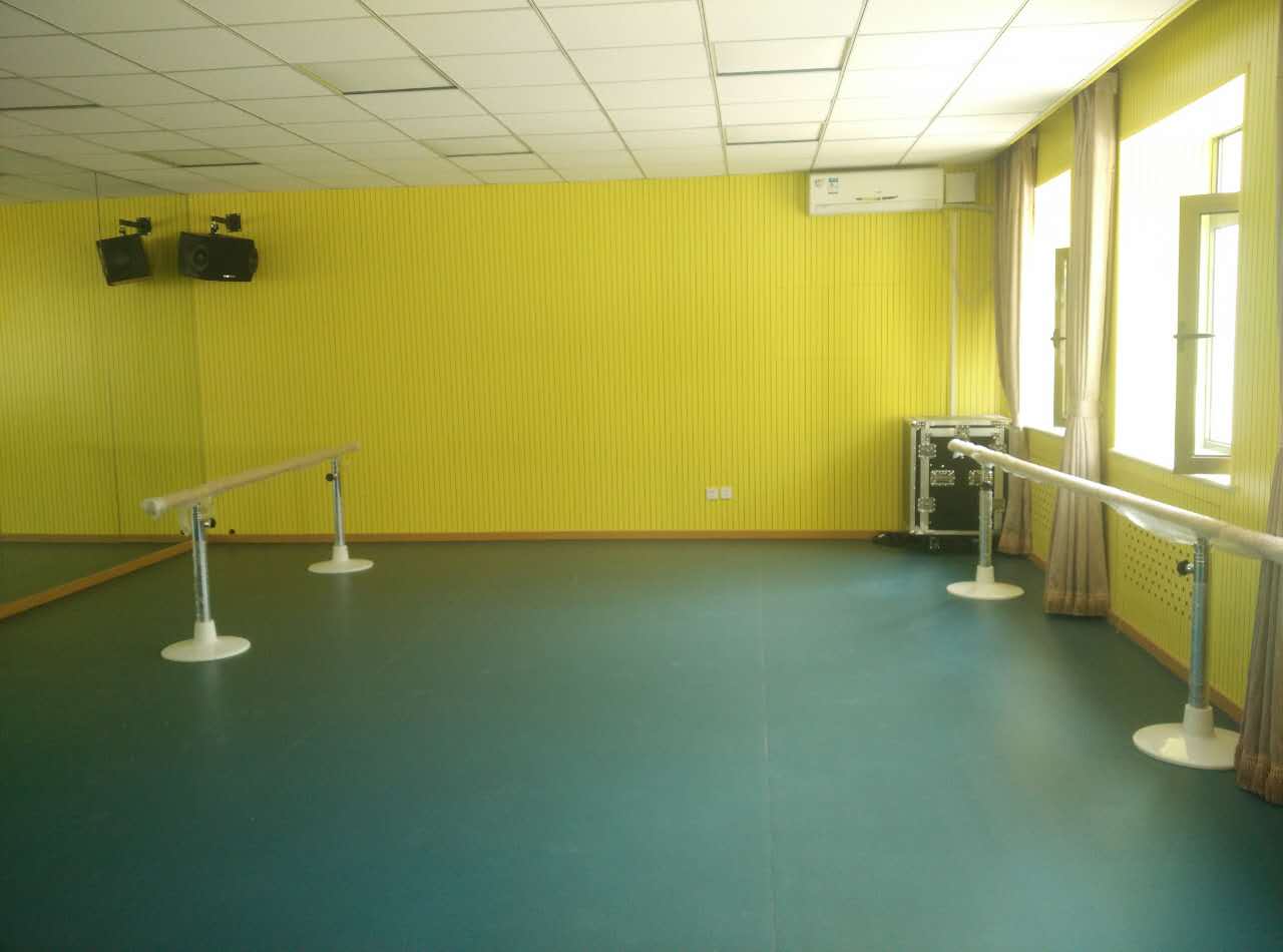 舞蹈地膠 舞蹈地膠