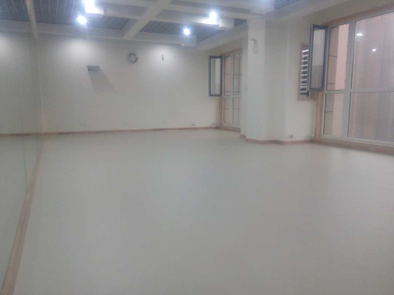 舞蹈地膠 舞蹈地膠