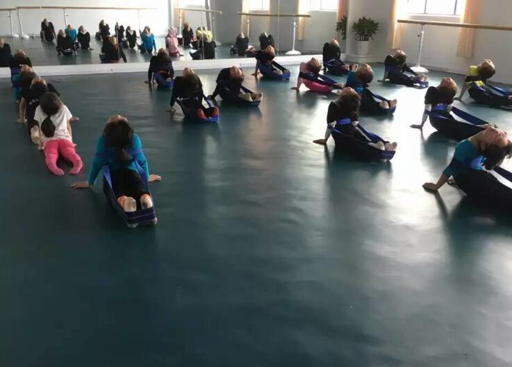 舞蹈室地膠,舞蹈地膠 舞蹈室地膠,舞蹈地膠