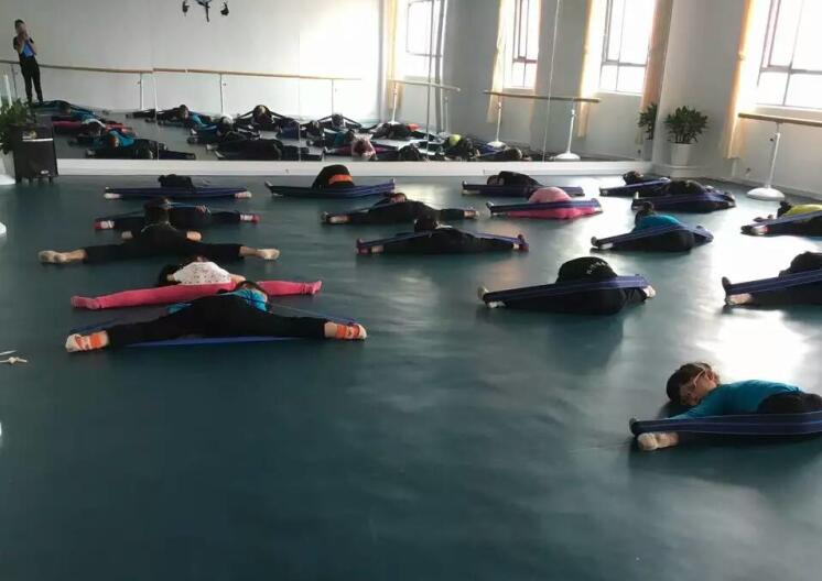 舞蹈室地膠,舞蹈地膠 舞蹈室地膠,舞蹈地膠