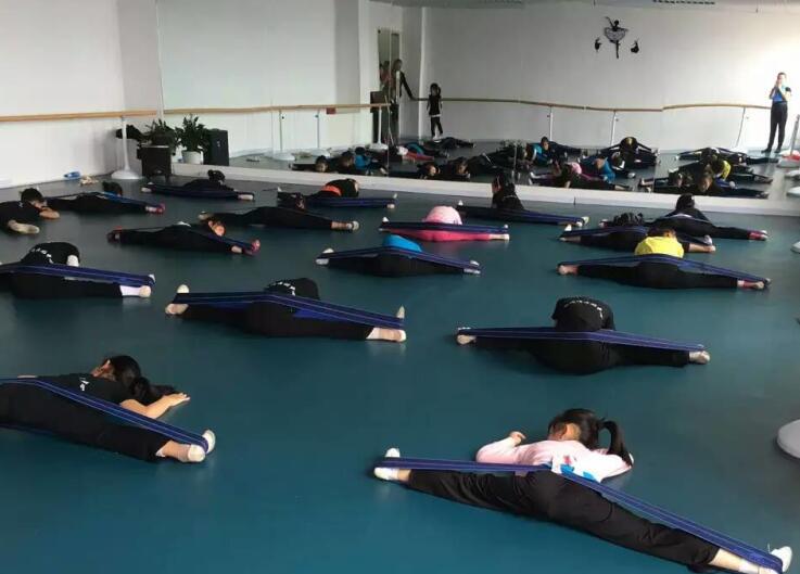 舞蹈室地膠,舞蹈地膠 舞蹈室地膠,舞蹈地膠