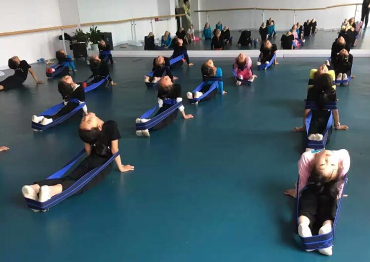 舞蹈室地膠,舞蹈地膠 舞蹈室地膠,舞蹈地膠