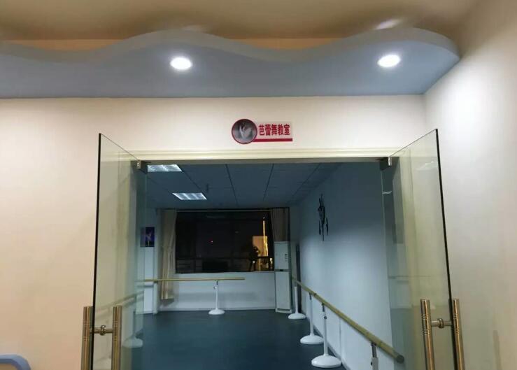 舞蹈室地膠,舞蹈地膠 舞蹈室地膠,舞蹈地膠