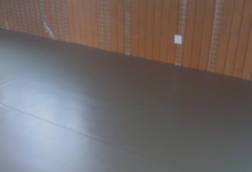 舞蹈地膠,舞蹈室地膠 舞蹈地膠,舞蹈室地膠