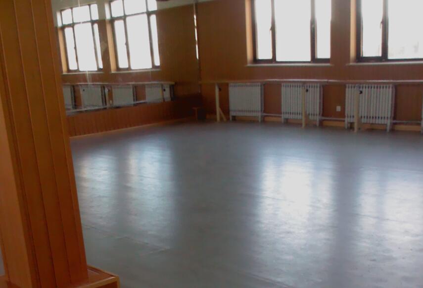 舞蹈地膠,舞蹈室地膠 舞蹈地膠,舞蹈室地膠