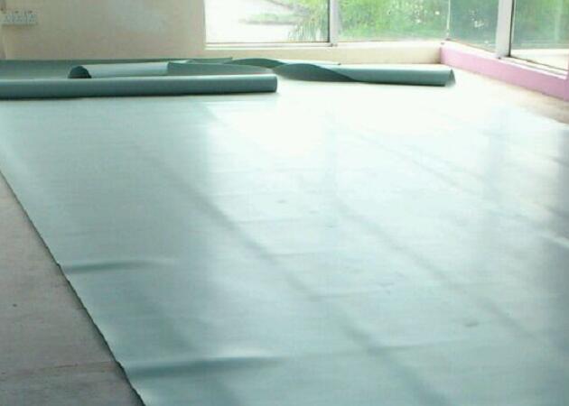 舞蹈地膠 舞蹈地膠