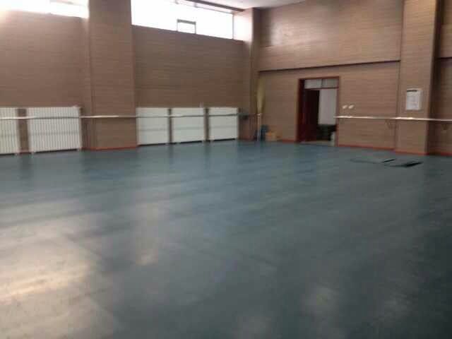 舞蹈室地膠,舞蹈地膠 舞蹈室地膠,舞蹈地膠