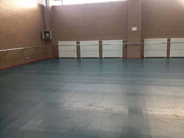 舞蹈室地膠,舞蹈地膠 舞蹈室地膠,舞蹈地膠