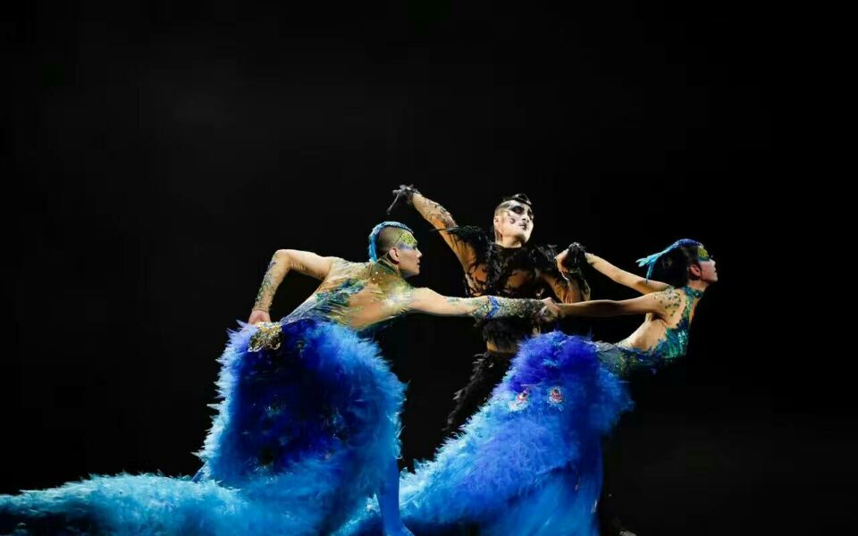 舞臺(tái)地膠,舞蹈地膠